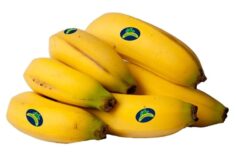 plátanos de Canarias