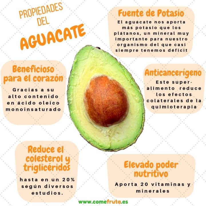 El Aguacate Y Sus Propiedades Y Beneficios Estos Beneficios