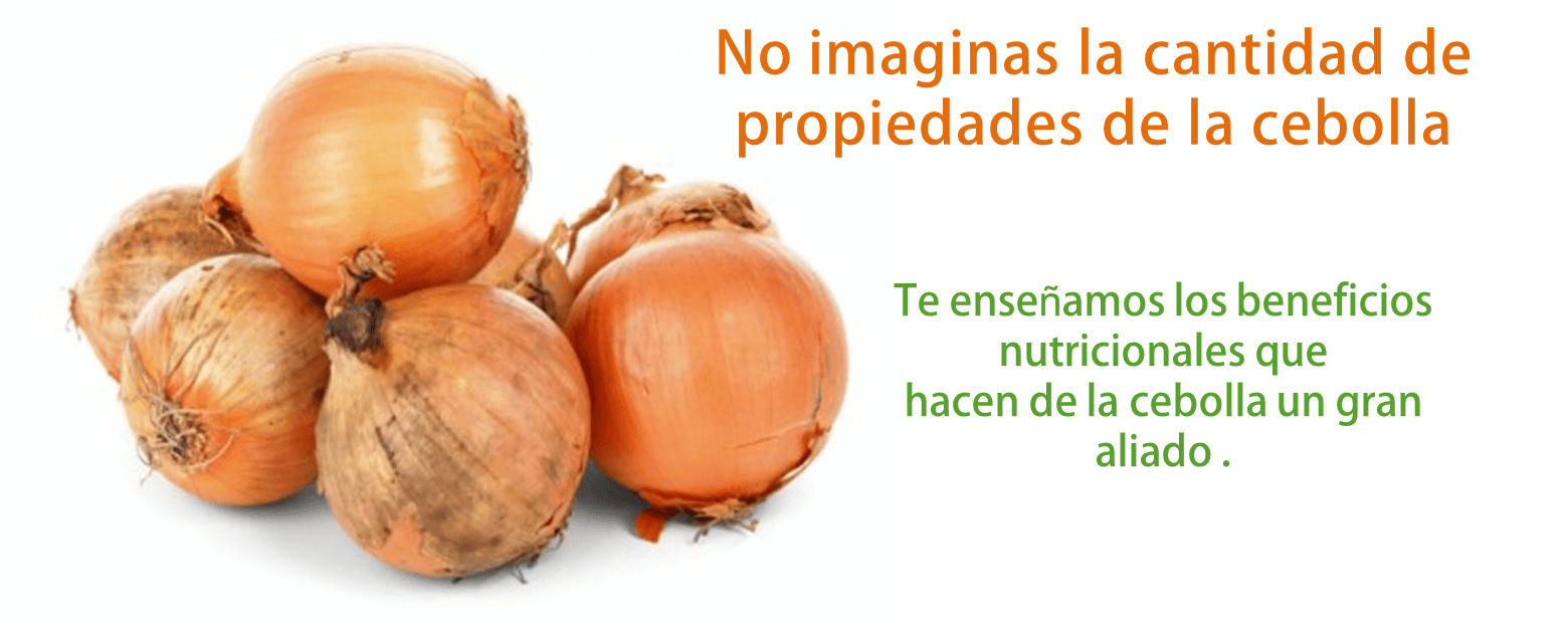 12 Propiedades Curativas De La Cebolla Beneficios Nutricionales 12 Propiedades Curativas De La Cebolla Beneficios Nutricionales