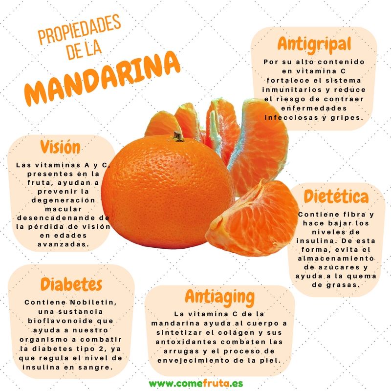 Infografia propiedades mandarina