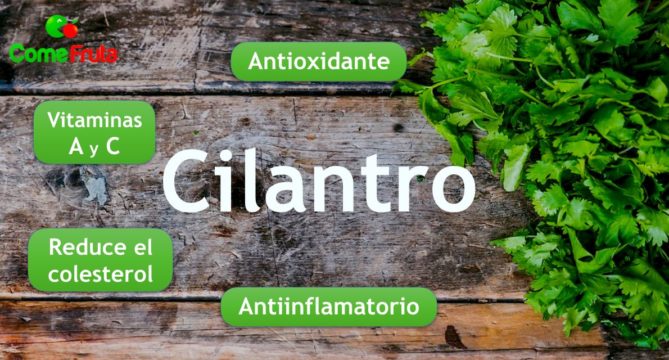 propiedades del cilantro comefruta