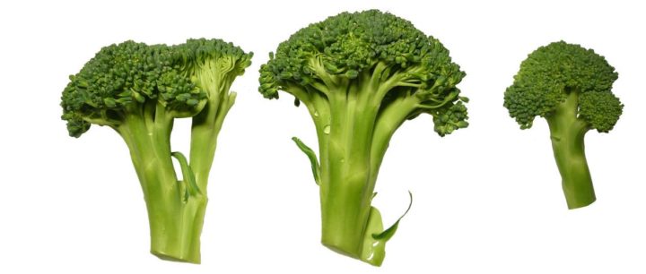 6 propiedades del brocoli