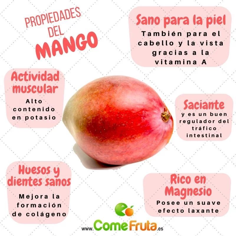infografía propiedades del mango