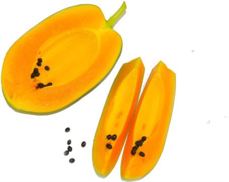 beneficios propiedades papaya