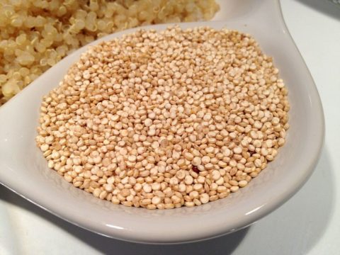 propiedades quinoa