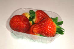 tarrina freson2 - Variedad extra de temporada