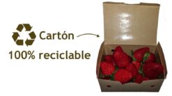 tarrina fresones reciclable sostenible cartón reciclaje comefruta - Fresones