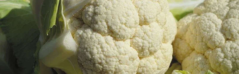temporada de coliflor en España