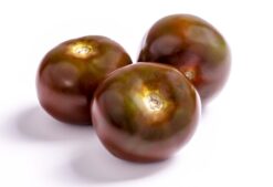 tomate kumato - Mix de tomates