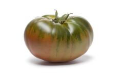 Tomate Moruno Calizo