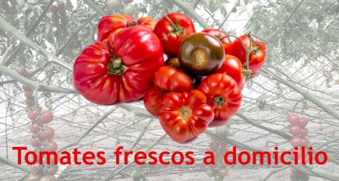 tomate a domicilio todo el año