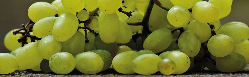 uvas sin pepitas