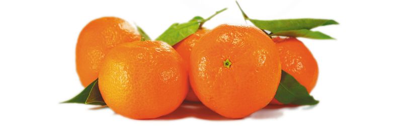 variedades de mandarinas