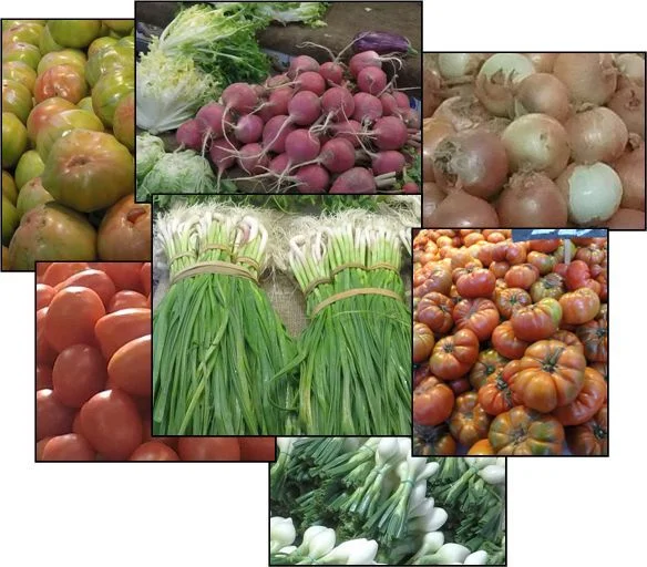 Verdura - Mercado Central de Valencia